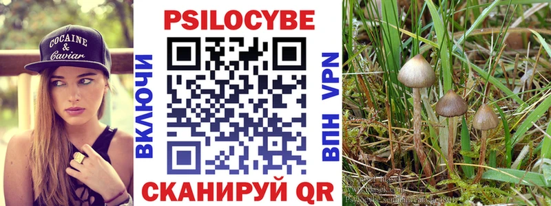 где можно купить наркотик  Афипский  Псилоцибиновые грибы Magic Shrooms 